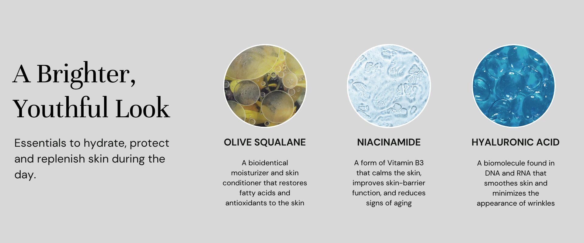 day cream ingredients
