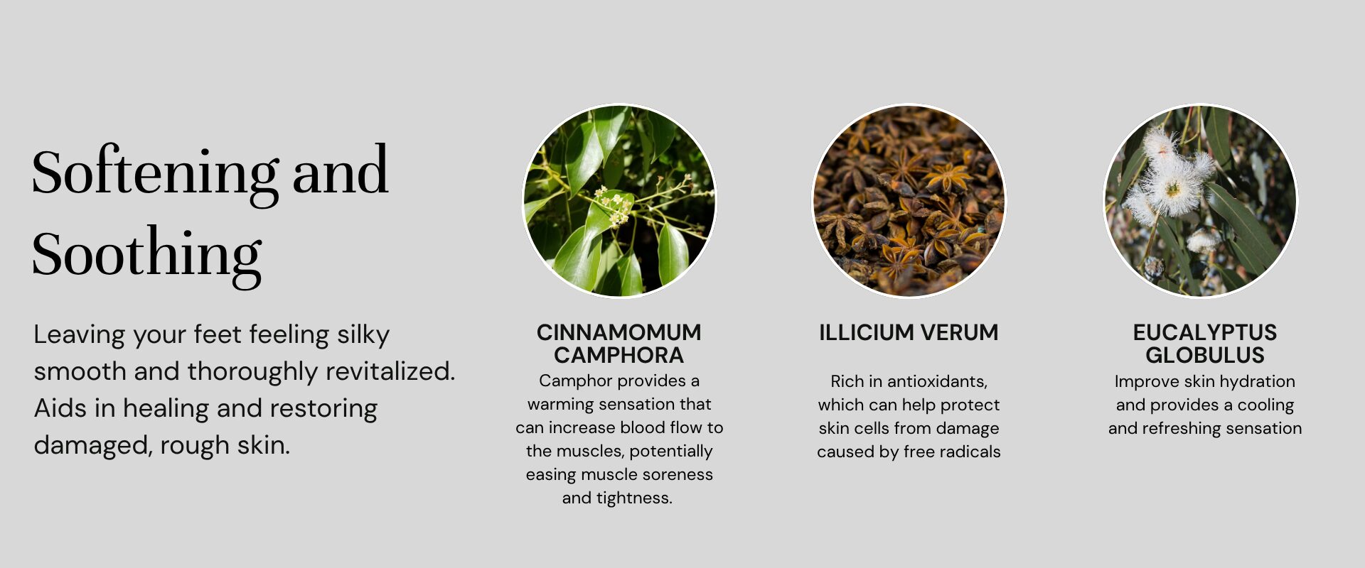 foot cream ingredients